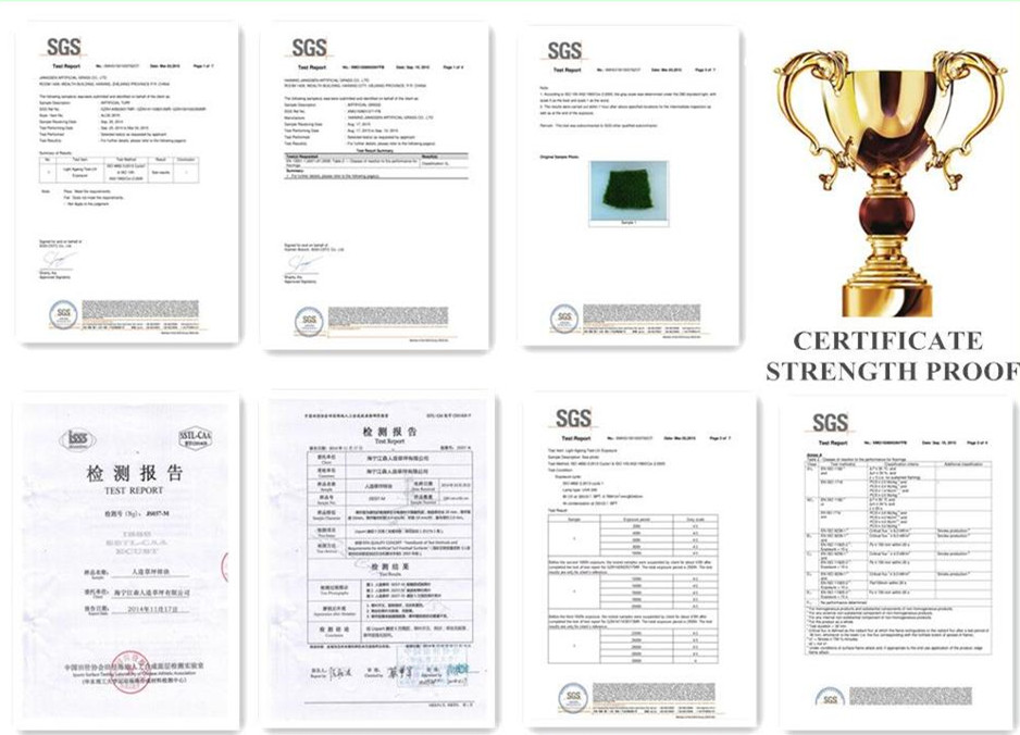 jiangsen artificial grass certification
