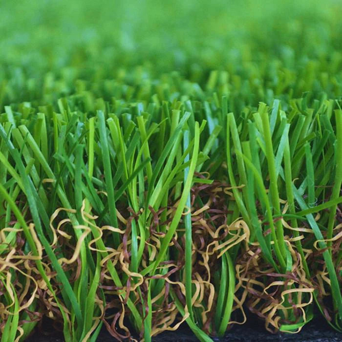 Grass Landscape