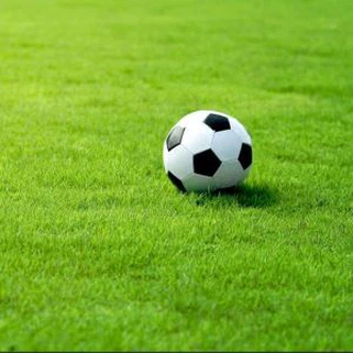 फुटबॉल पिच के लिए कृत्रिम घास