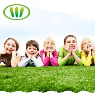 पालतू जानवर श्रृंखला 20 मिमी सुरक्षा सामग्री कुत्तों और बिल्लियों के लिए कृत्रिम घास का उपयोग करें