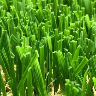 डब्ल्यू आकार 50 मिमी भूनिर्माण घास यूएसए