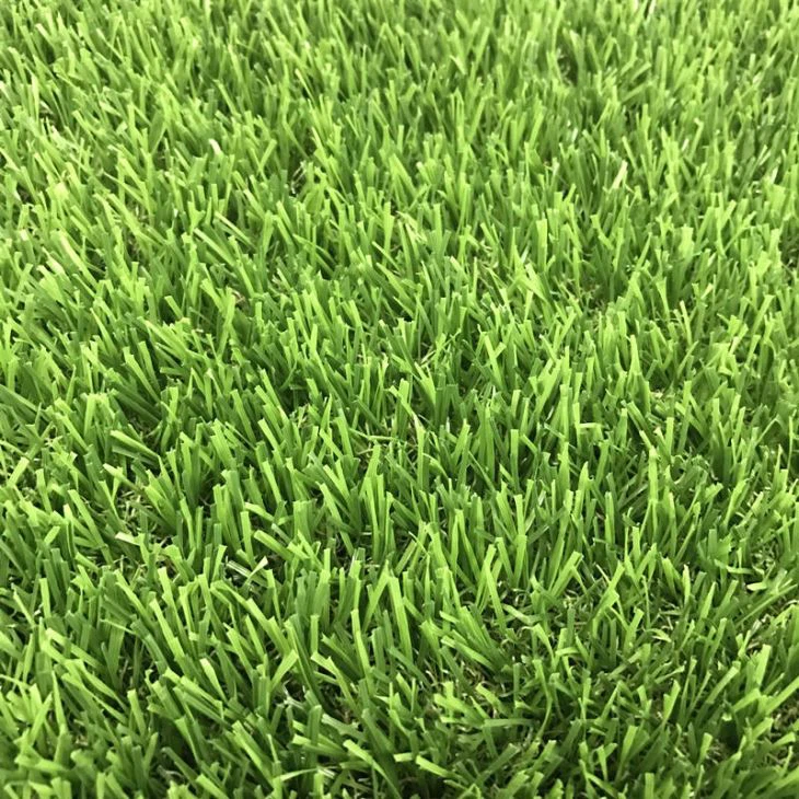 Garden Landscape Grass