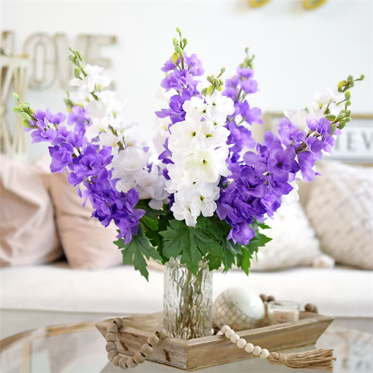 Delphiniums